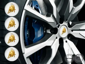 Lamborghini Calcomanías Bombadas Custom Logos Premium de Aro